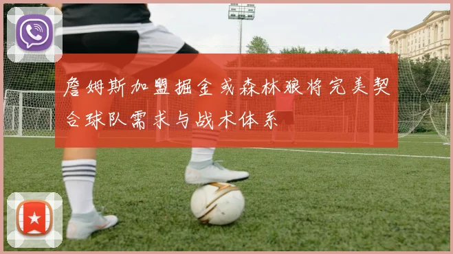 詹姆斯加盟掘金或森林狼将完美契合球队需求与战术体系