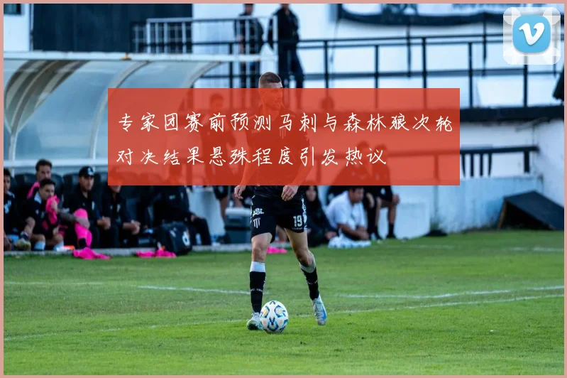 专家团赛前预测马刺与森林狼次轮对决结果悬殊程度引发热议