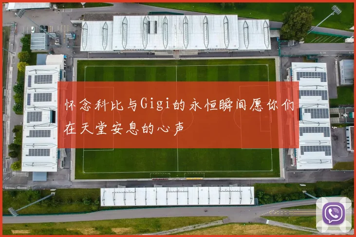 怀念科比与Gigi的永恒瞬间愿你们在天堂安息的心声
